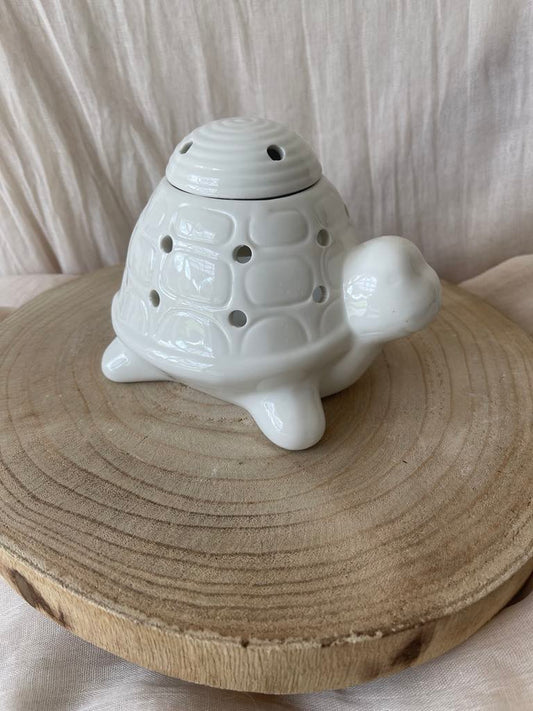 cette jolie tortue va sublimer votre décoration d'intérieur 