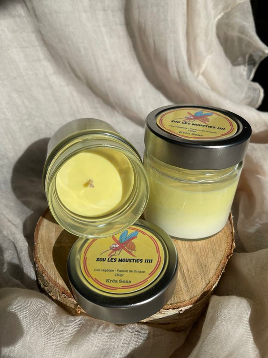 l'essentiel pour se débarrasser des moustiques 